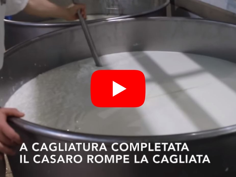 Come si fa la Mozzarella Video Youtube